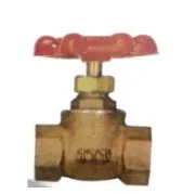 TYT 6分(22mm)內牙皮心閘制